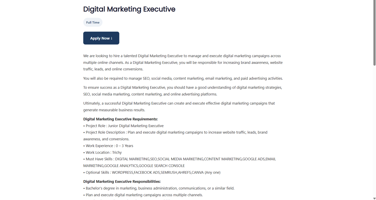 ATS Pro — candidate profile view